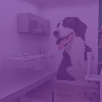 Código de Habilitaciones