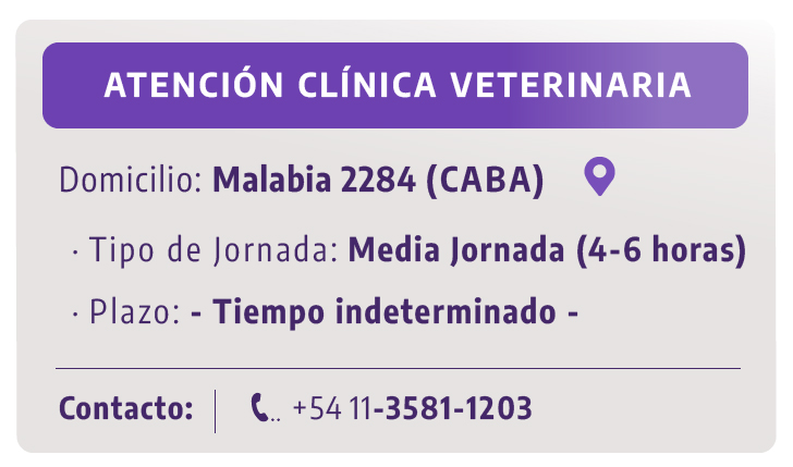 Aviso 10 06 2026
